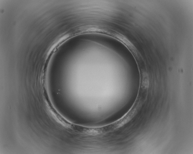 X0000063470806200601201309