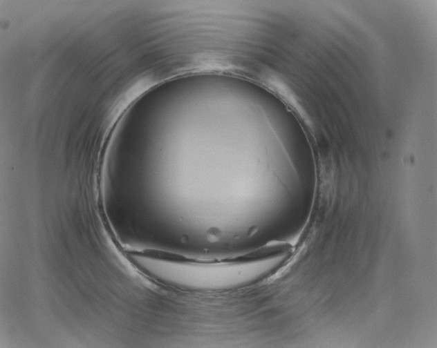 X0000063470810200601201309