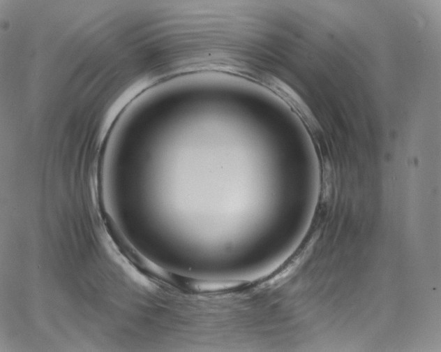 X0000063470812200601201309