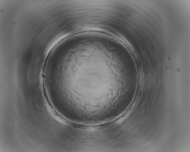 X0000063470814200601201309