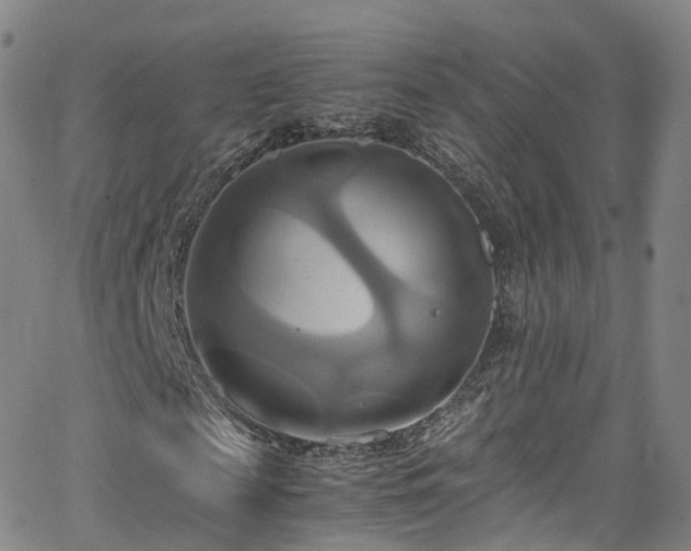 X0000063470817200601201309