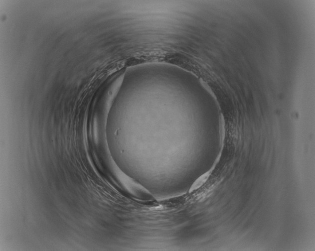 X0000063470818200601201309