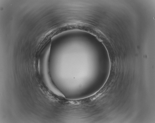 X0000063470822200601201309