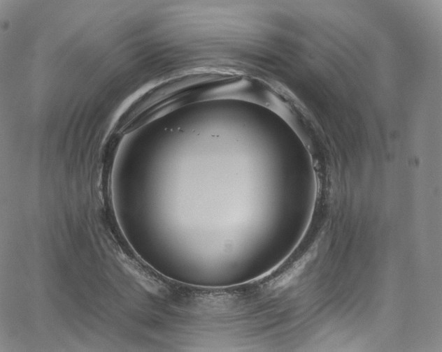 X0000063470830200601201309