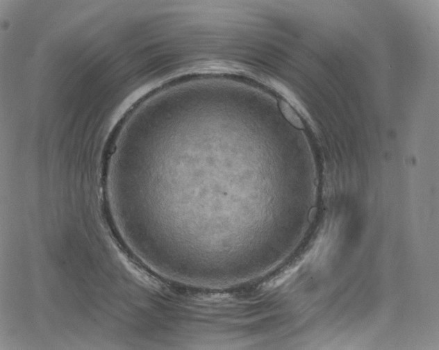 X0000063470837200601201309