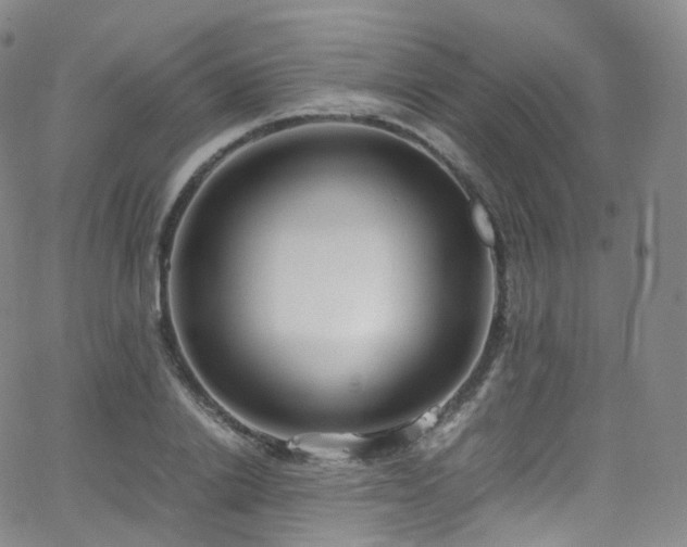 X0000063470838200601201309