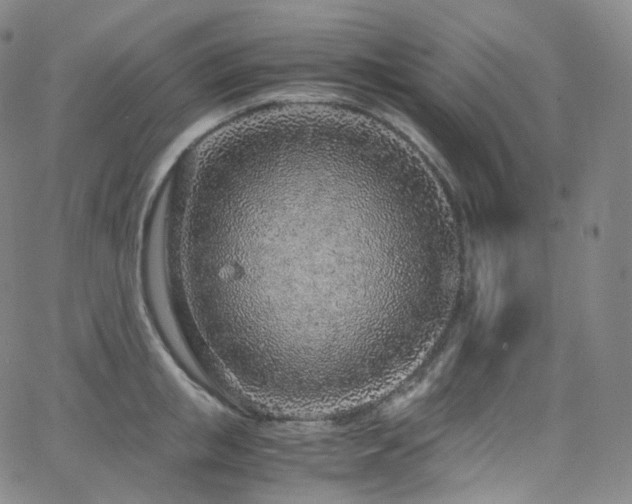 X0000063470853200601201309