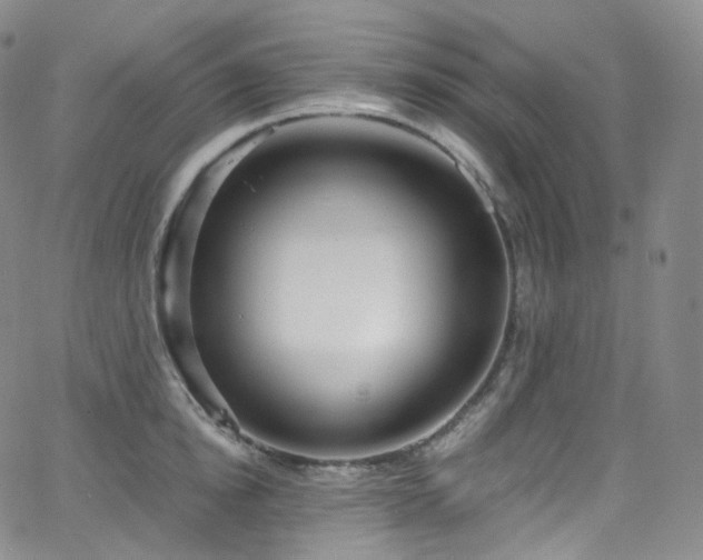 X0000063470854200601201309