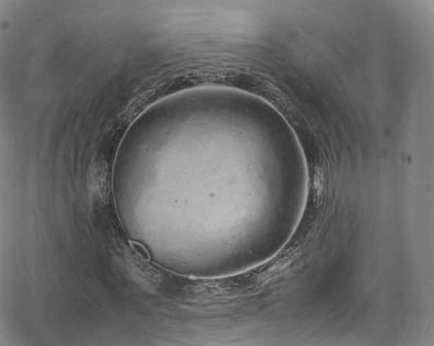 X0000063470867200601201308