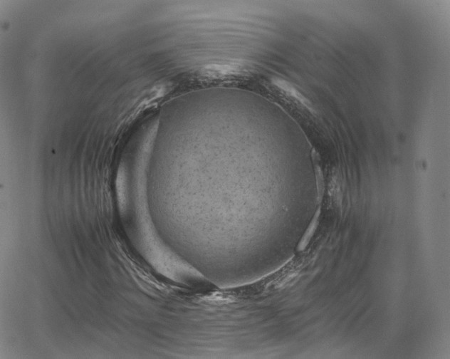 X0000063470868200601201308