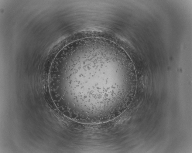 X0000063470870200601201308