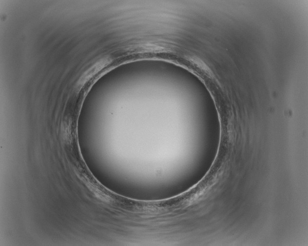 X0000063470873200601201308
