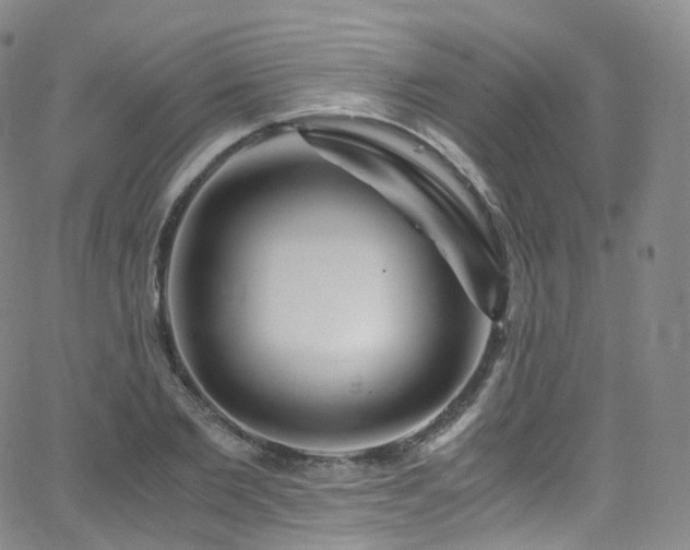 X0000063470885200601201308