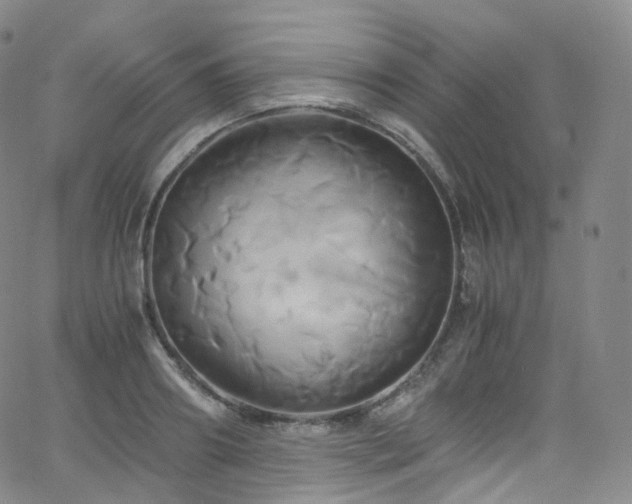 X0000063470890200601201308