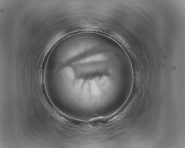 X0000063470891200601201308