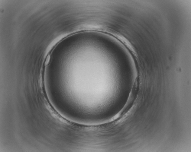 X0000063470904200601201308