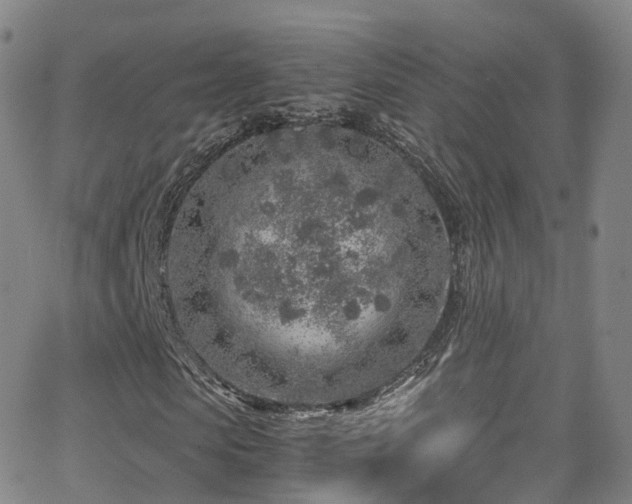 X0000063470913200601201307