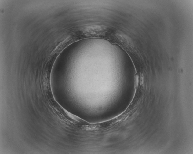 X0000063470915200601201307
