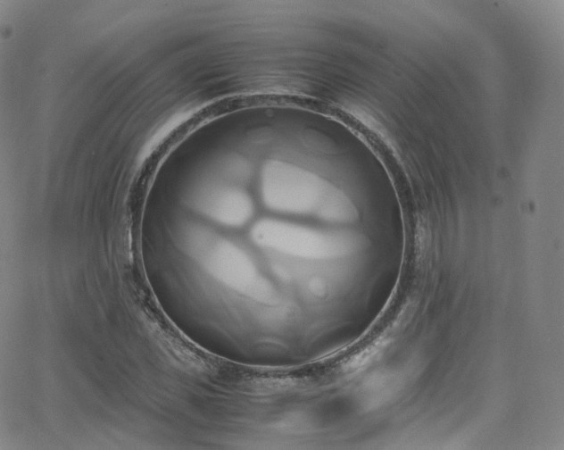 X0000063470925200601201307