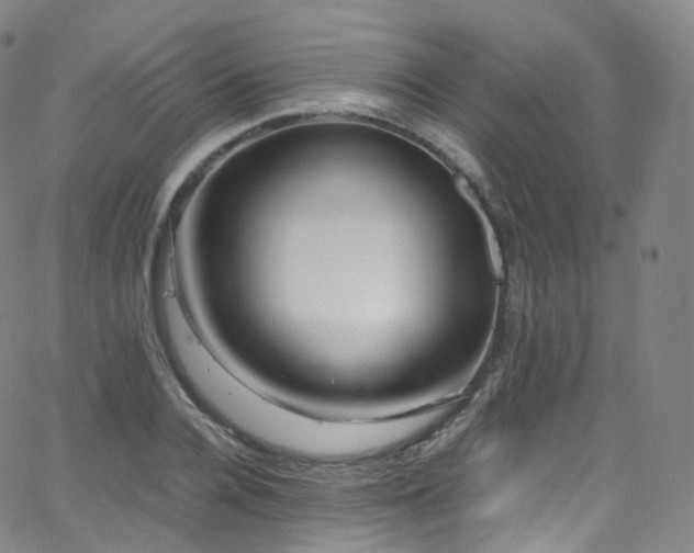 X0000063470936200601201307