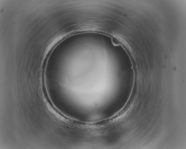X0000063470941200601201307