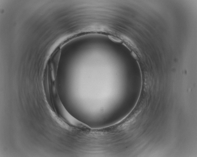 X0000063470942200601201307