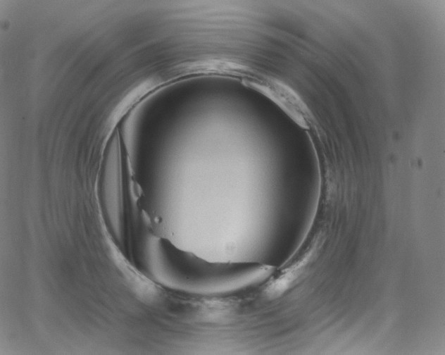 X0000063470946200601201308