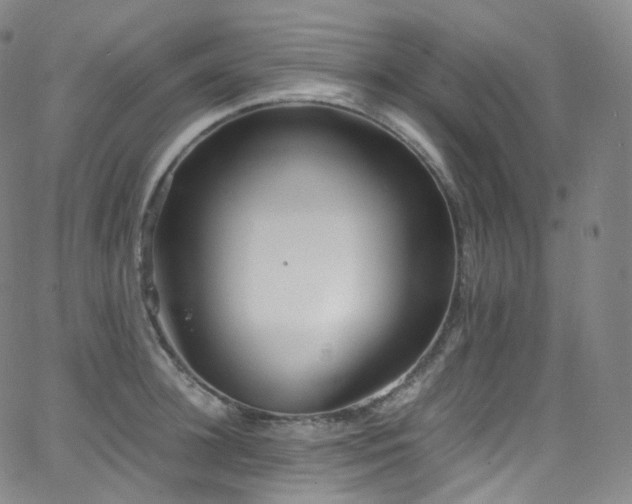 X0000063470948200601201308