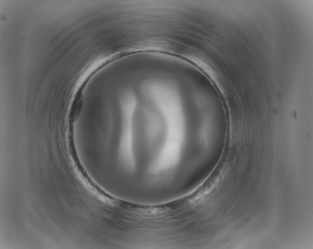 X0000063470949200601201308