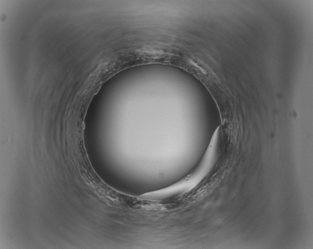 X0000063470961200601201307