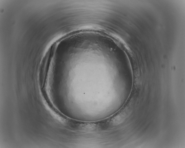 X0000063470991200601201306