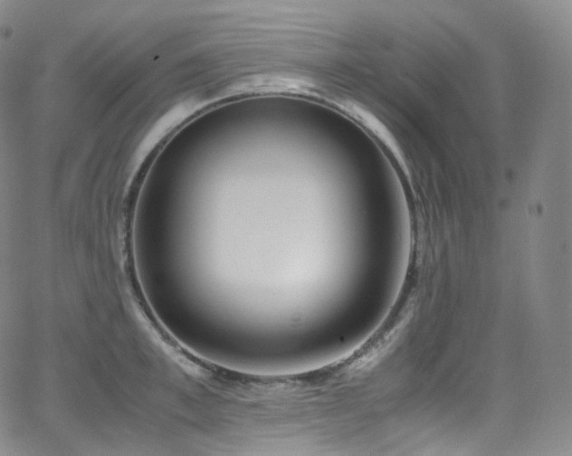 X0000063470997200601201306