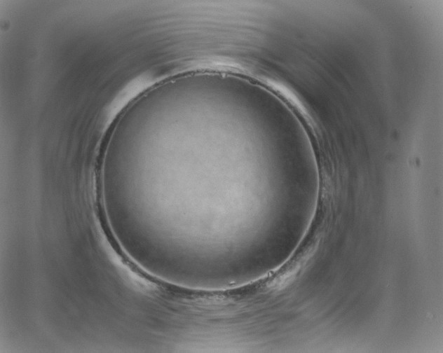 X0000063470999200601201306