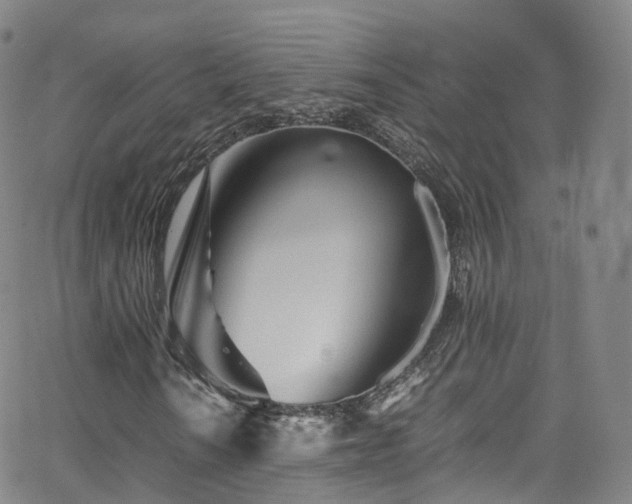 X0000063471010200601201305