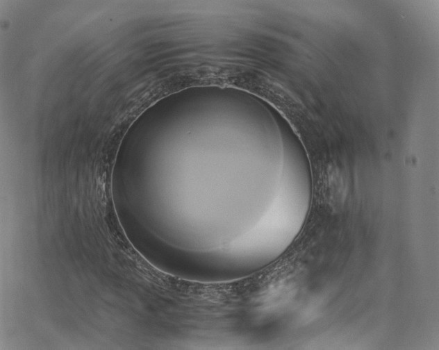 X0000063471013200601201305