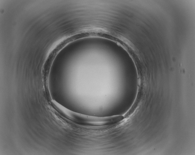 X0000063471022200601201306