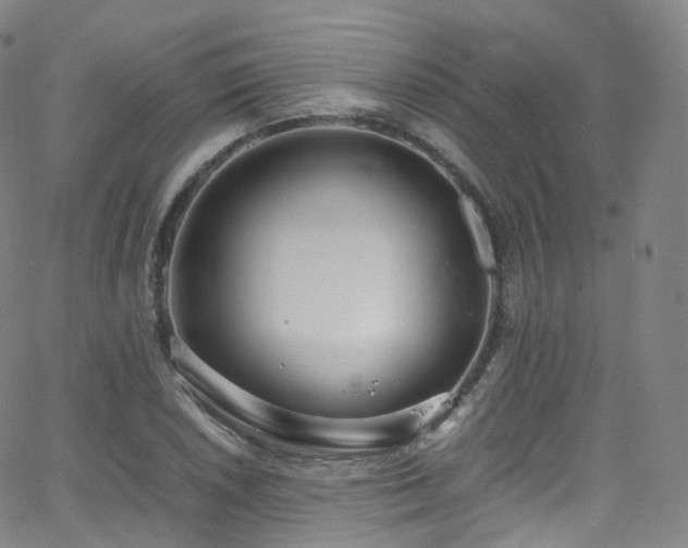 X0000063471026200601201306
