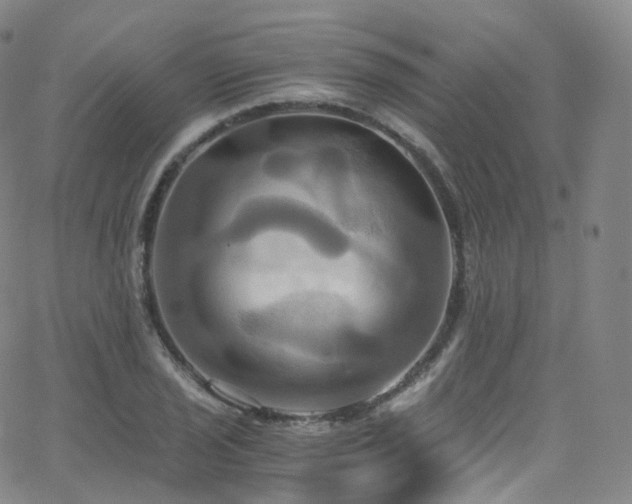 X0000063471029200601201306