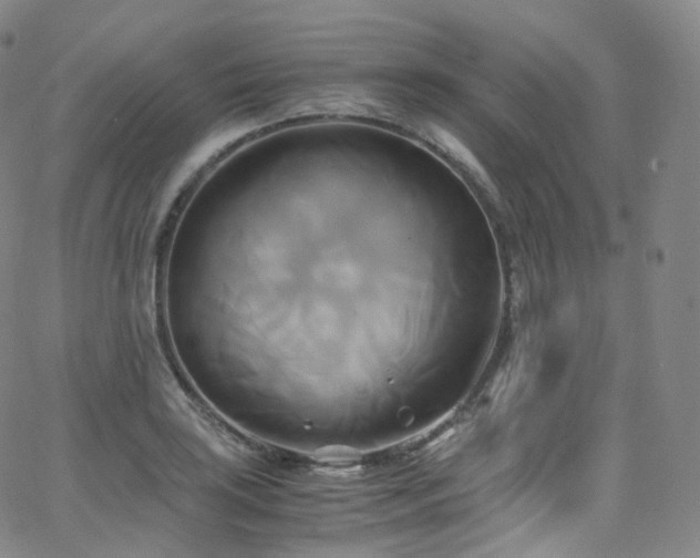 X0000063471035200601201306