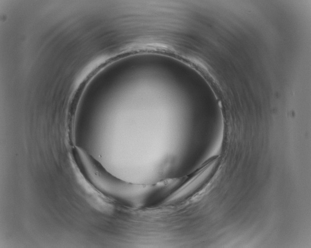 X0000063471038200601201306
