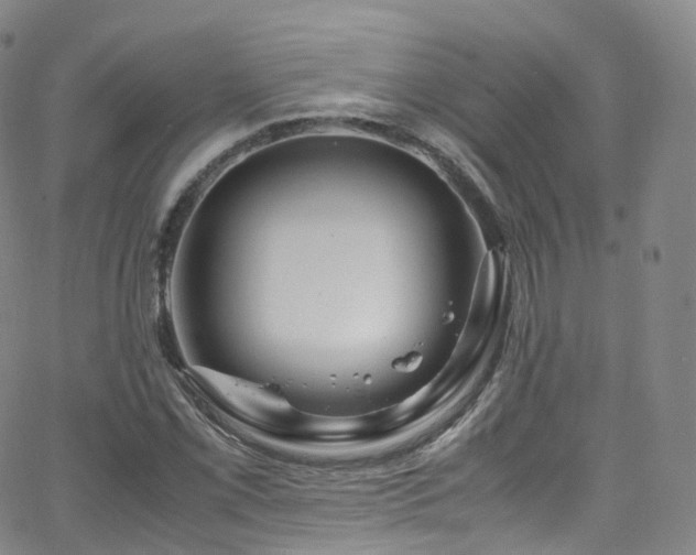 X0000063471069200601201305