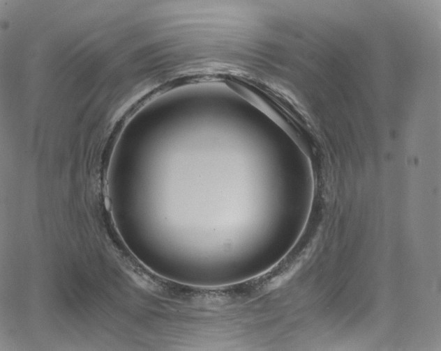 X0000063471073200601201305