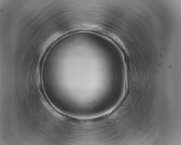 X0000063471080200601201305