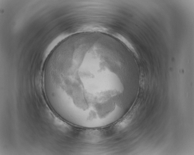 X0000063471094200601201305
