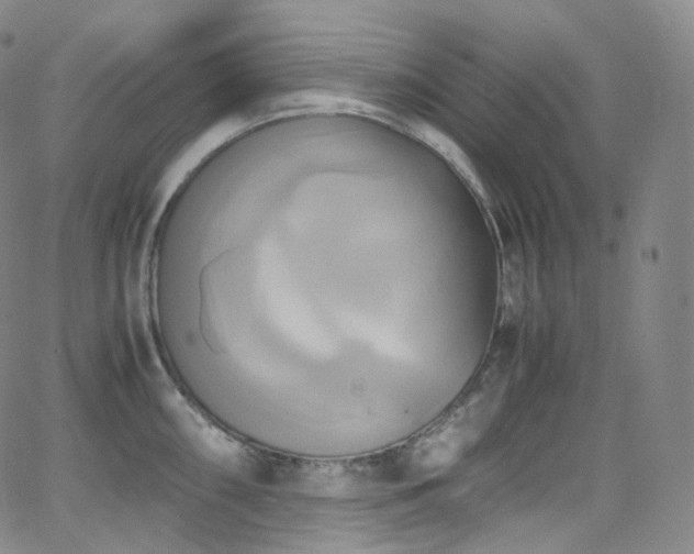 X0000063471098200601201305