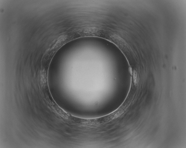 X0000063471107200601201304
