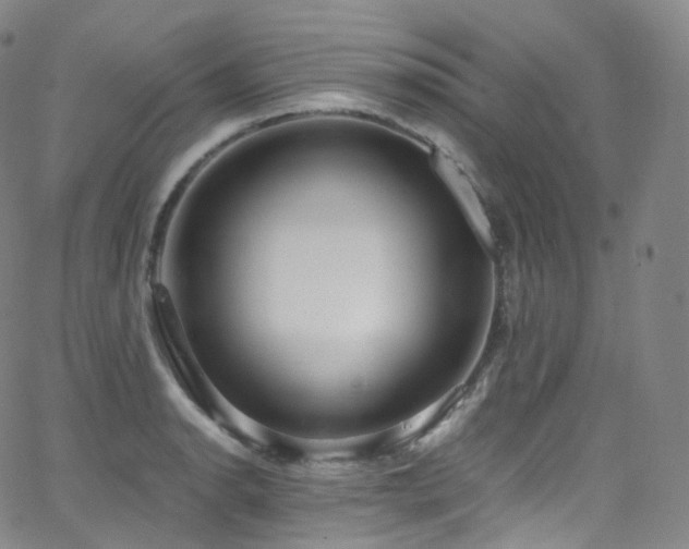 X0000063471134200601201304