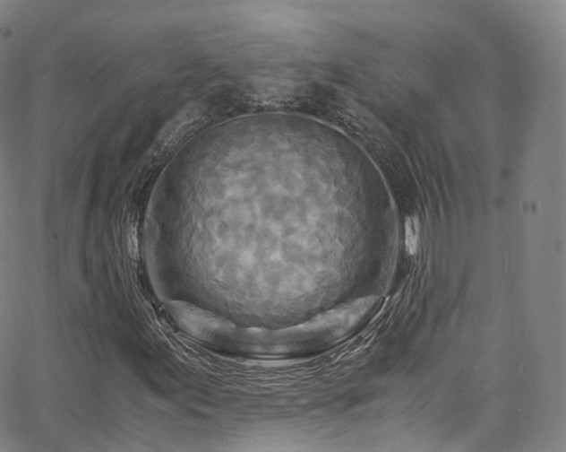 X0000063471155200601201304