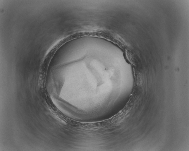 X0000063471208200601201302