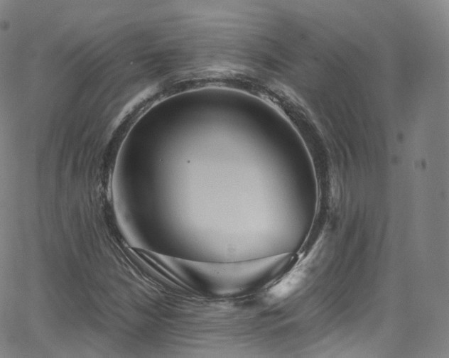 X0000063471210200601201302